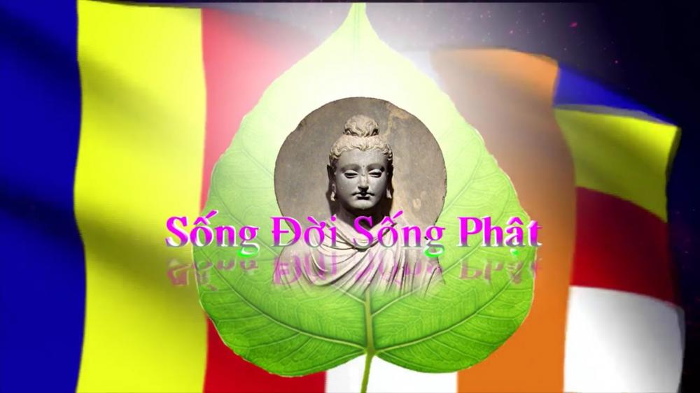 Chương trình cứu trợ nạn nhân lũ lụt miền trung (Ngày 22 tháng 10 năm 2016)