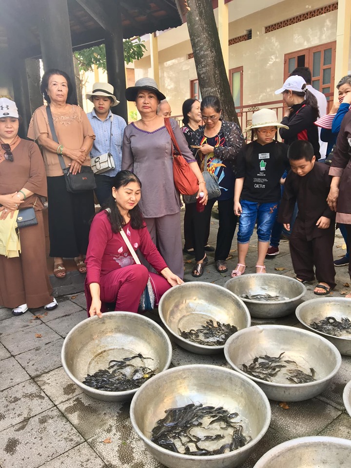 ĐOÀN PHẬT TỬ HOA SEN VIỆT PHÓNG SINH TRONG DỊP VU LAN 17 THÁNG 8,2019